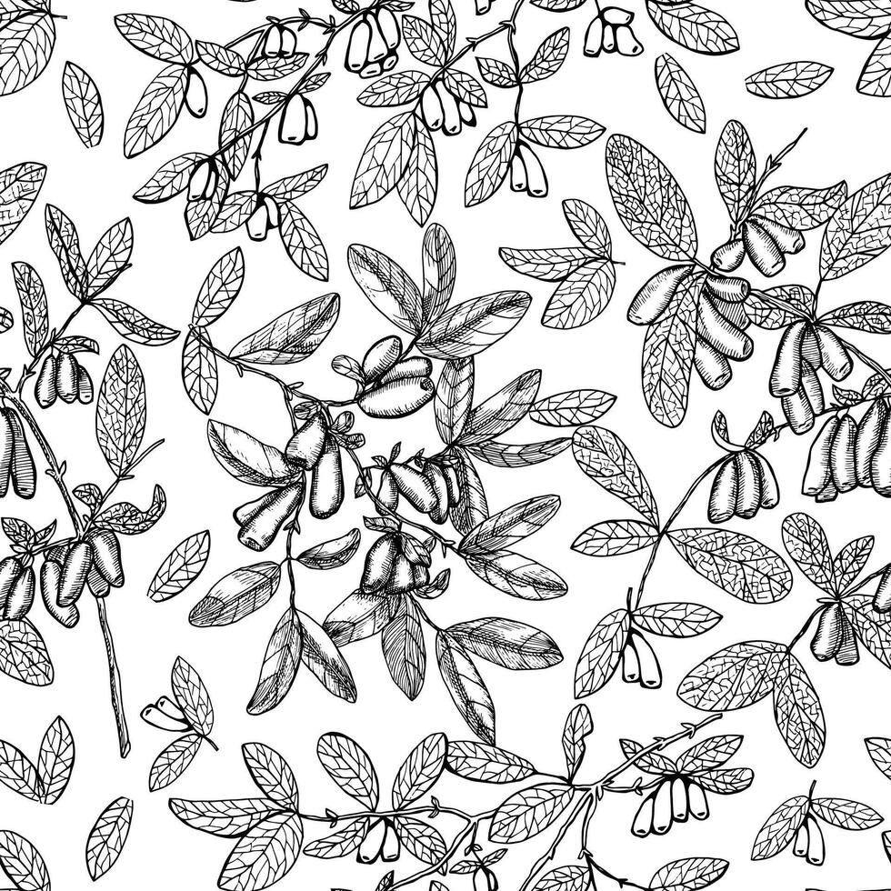 Seamless background with honeysuckle berries, leaves and branches on white vector