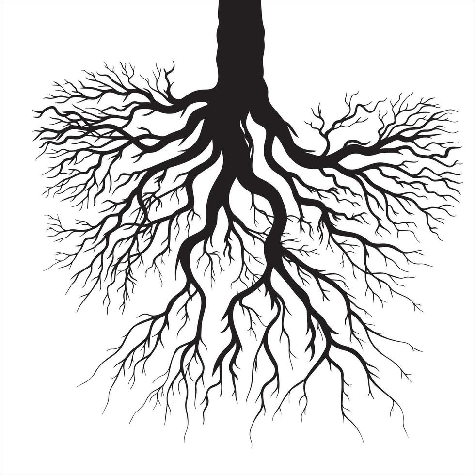 simple black and white illustration of a tree roots vector