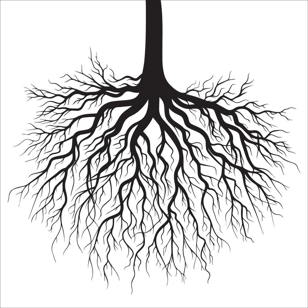 simple black and white illustration of a tree roots vector