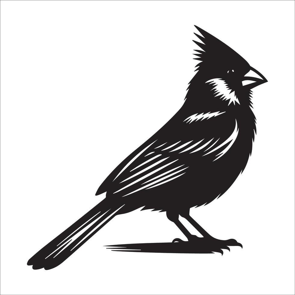 A Northern cardinal bird standing proud illustration in black and white vector