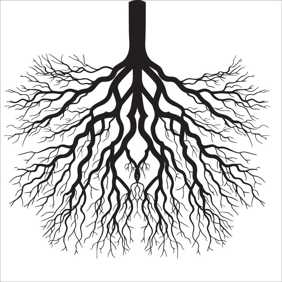simple black and white illustration of a tree roots vector