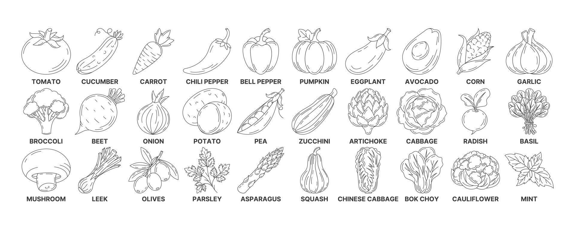 Vegetables and greens, minimal line icon set. Editable stroke. Vegetable icon set. Outline icons collection of veggies. Concept of farming, vegetarian food, proper nutrition, harvesting vector