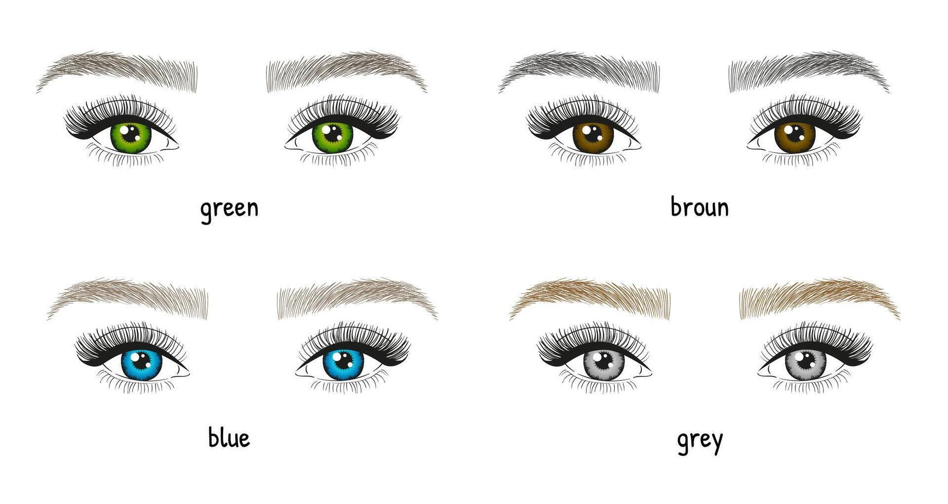 Different types and colors of eyes and eyebrows illustration. Woman's eyes with long eyelashes vector