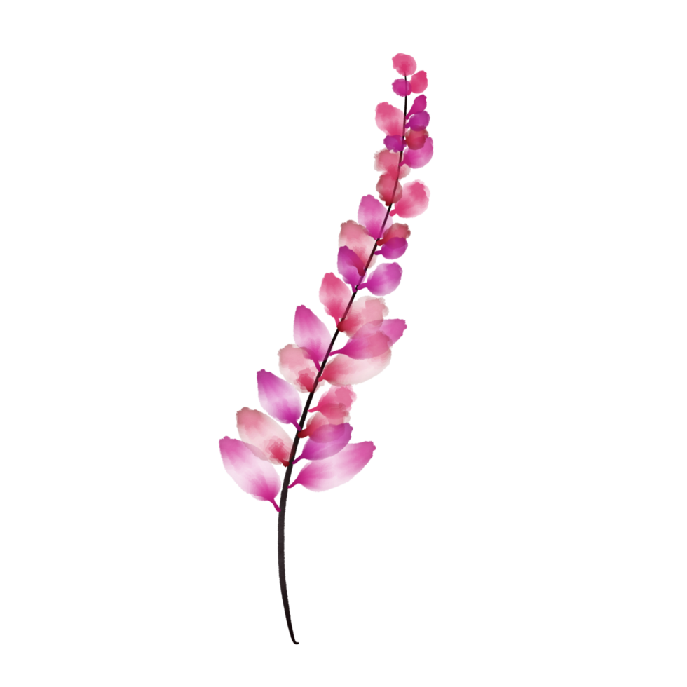 Watercolor Pink Flower on a Transparent Background png