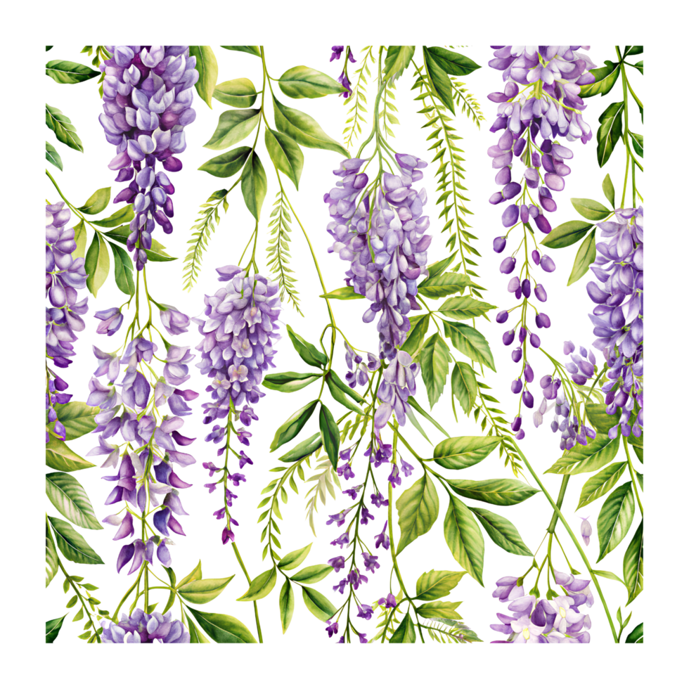 A seamless pattern of wisteria flowers seamlessly repeated on a transparent background png