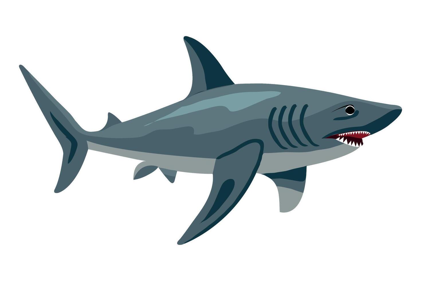 shark clipart isolated on white background vector