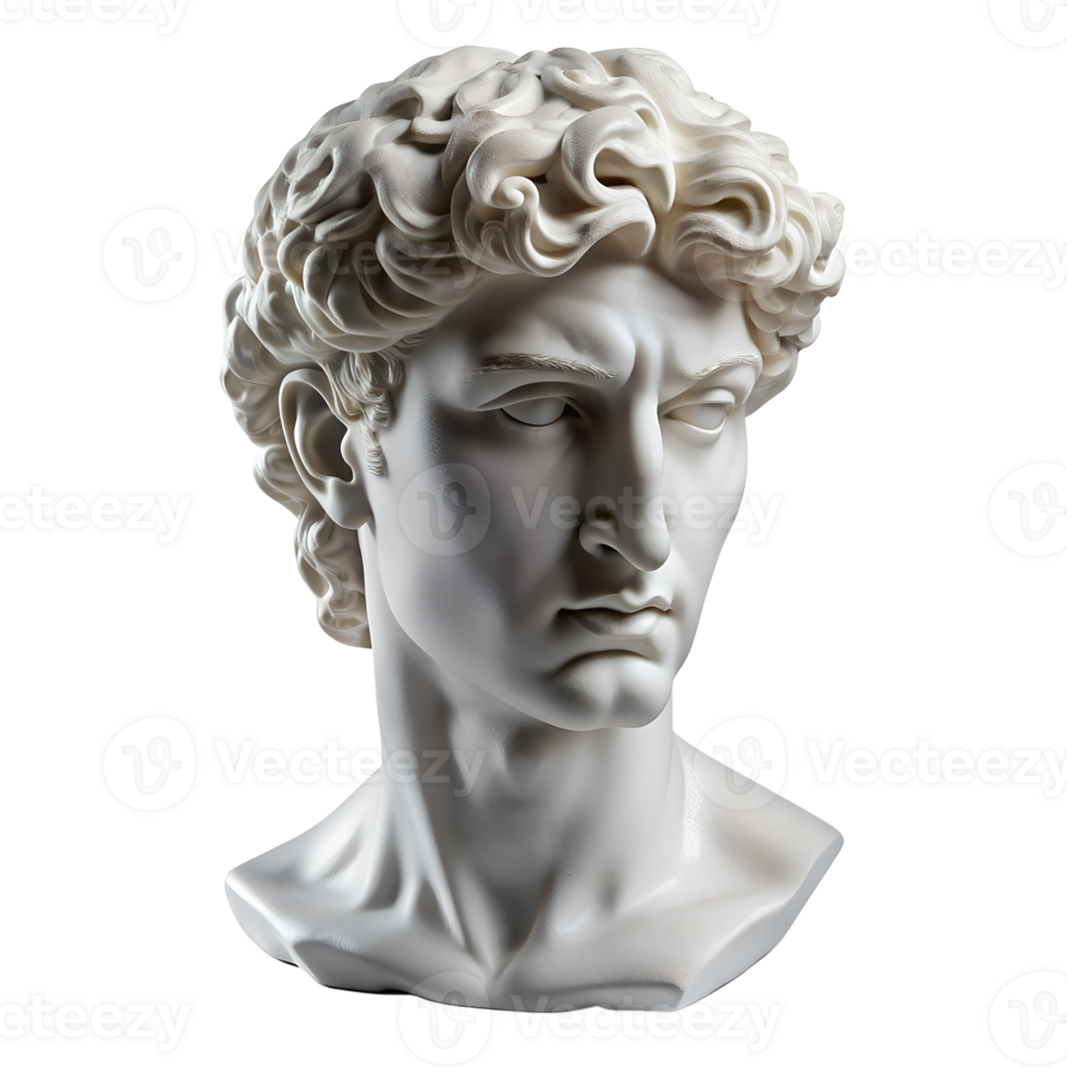 Isolated Plaster Copy of Michelangelos David Head, Ancient Greek Sculpture png