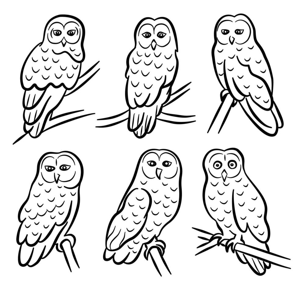 Owl outline icons collection. Set of contour owls and emblems design elements with white background good for signs and school, books about nature, birds, the symbol of the hunting club. vector