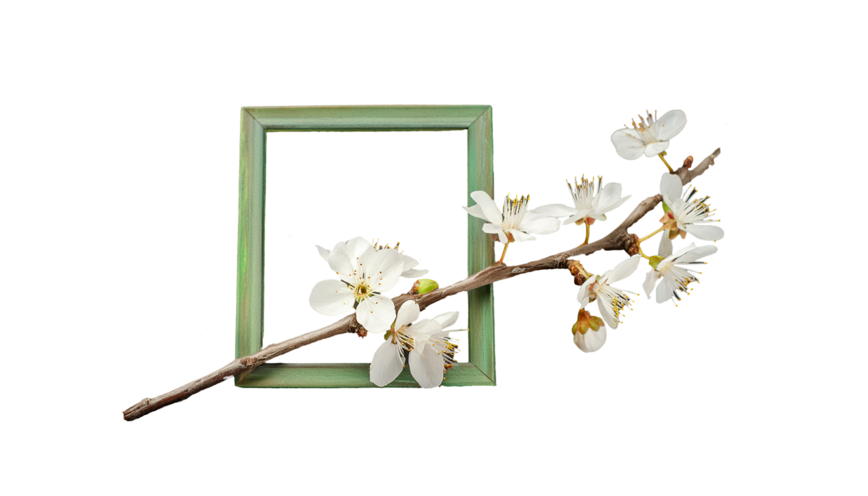 A branch of a cherry tree png