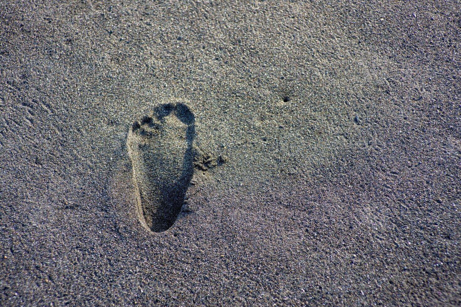 people leaving footprint on the sand. close-up many people footprint from foot step walking many direction on the sand beach. beach travel, summer background concept photo
