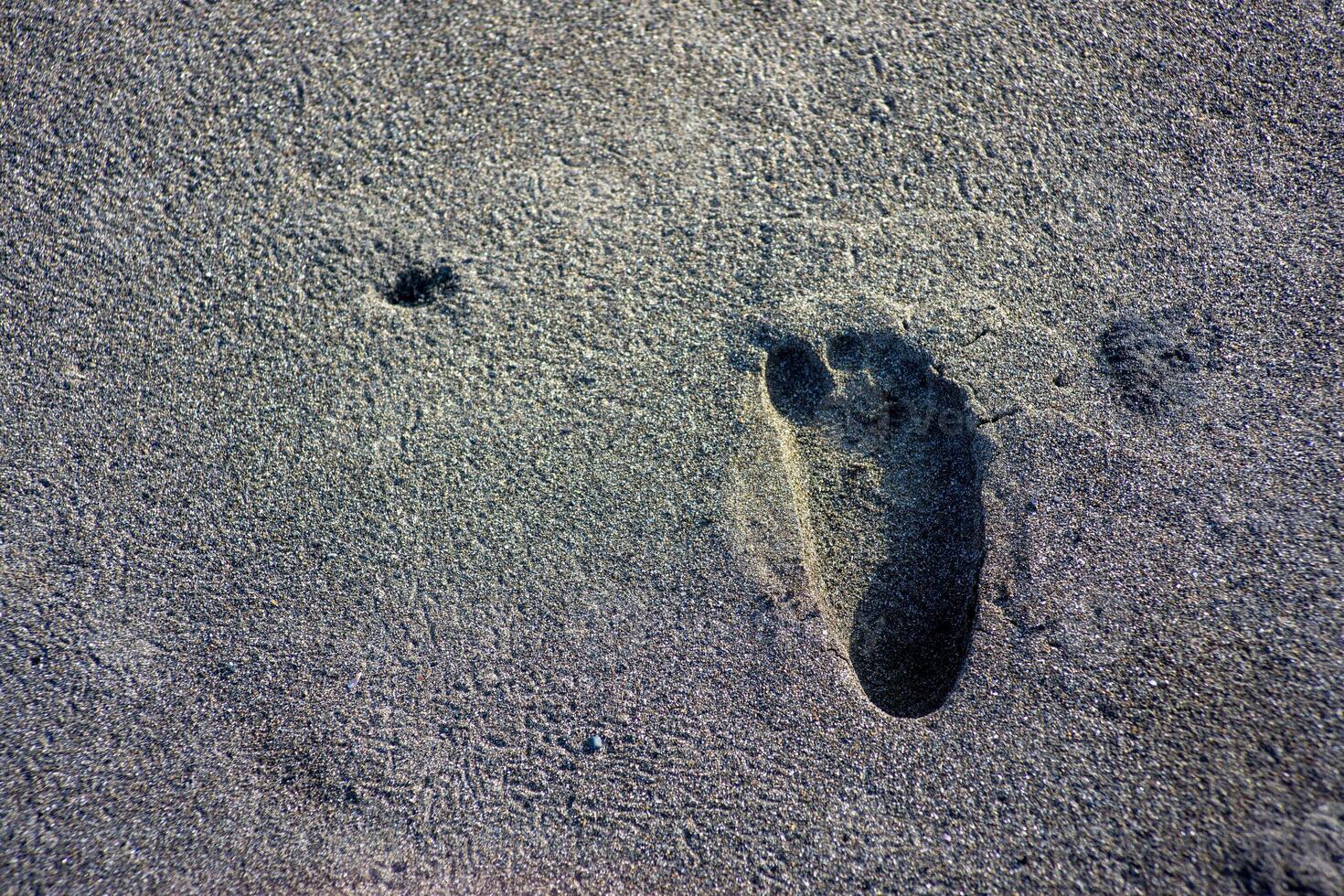 people leaving footprint on the sand. close-up many people footprint from foot step walking many direction on the sand beach. beach travel, summer background concept photo