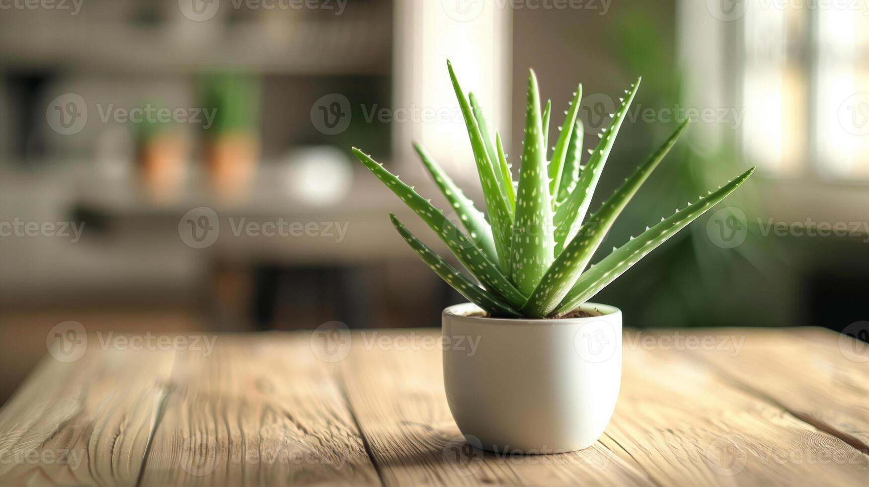 A close-up of a green aloe vera plant in a white pot placed on a wooden table, with a blurred background, showcasing a minimalistic home decor setup. photo