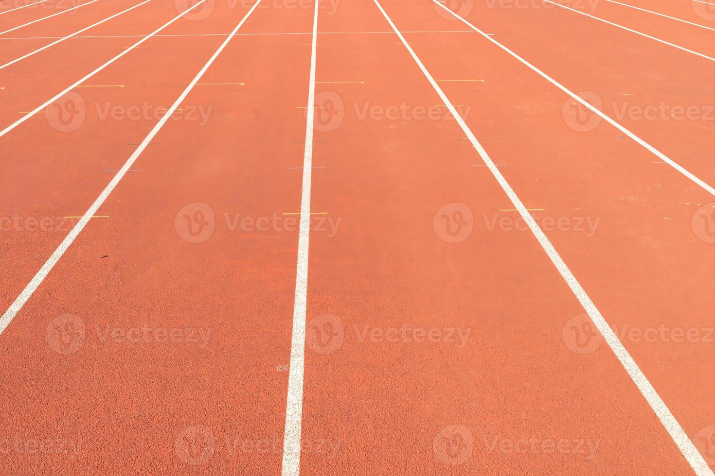Synthetic track with white lines in the athletics stadium photo