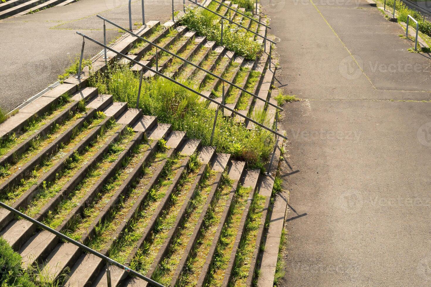 wide steps, overgrown outside in the sun photo