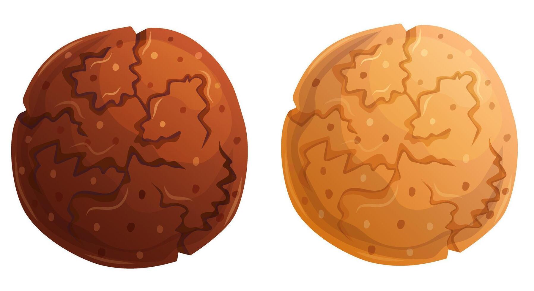 Chocolate and classic cookies isolated on white. Cartoon sweet dessert . vector