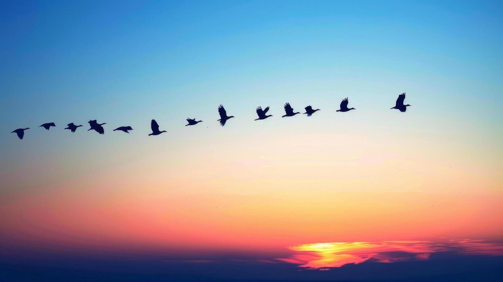 Flock of birds flying in a V formation during a colorful sunset with a serene sky backdrop, symbolizing unity and migration. photo