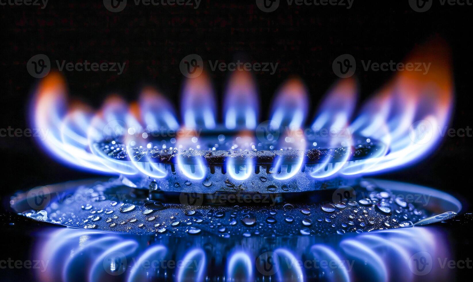 Commercial Kitchen Gas Burner with Blue Flames photo