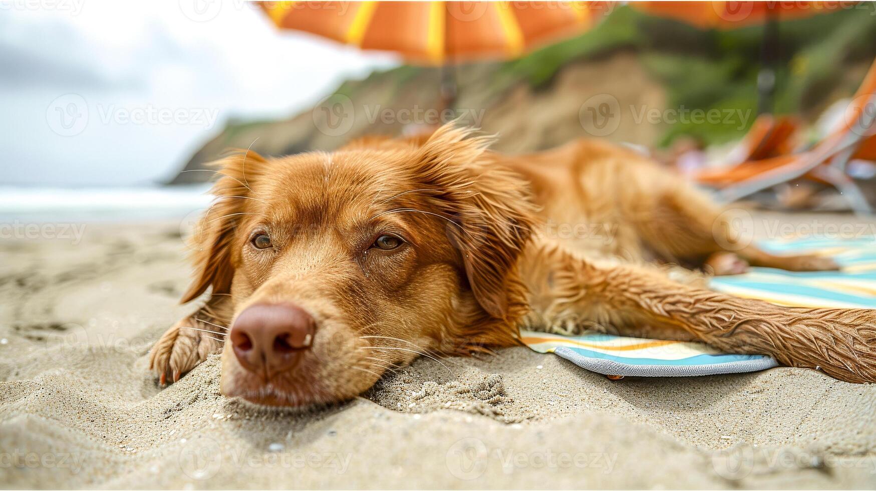 Nova Scotia Duck Tolling Retriever Umbrella Nova Scotia Duck Tolling Retriever Umbrella
