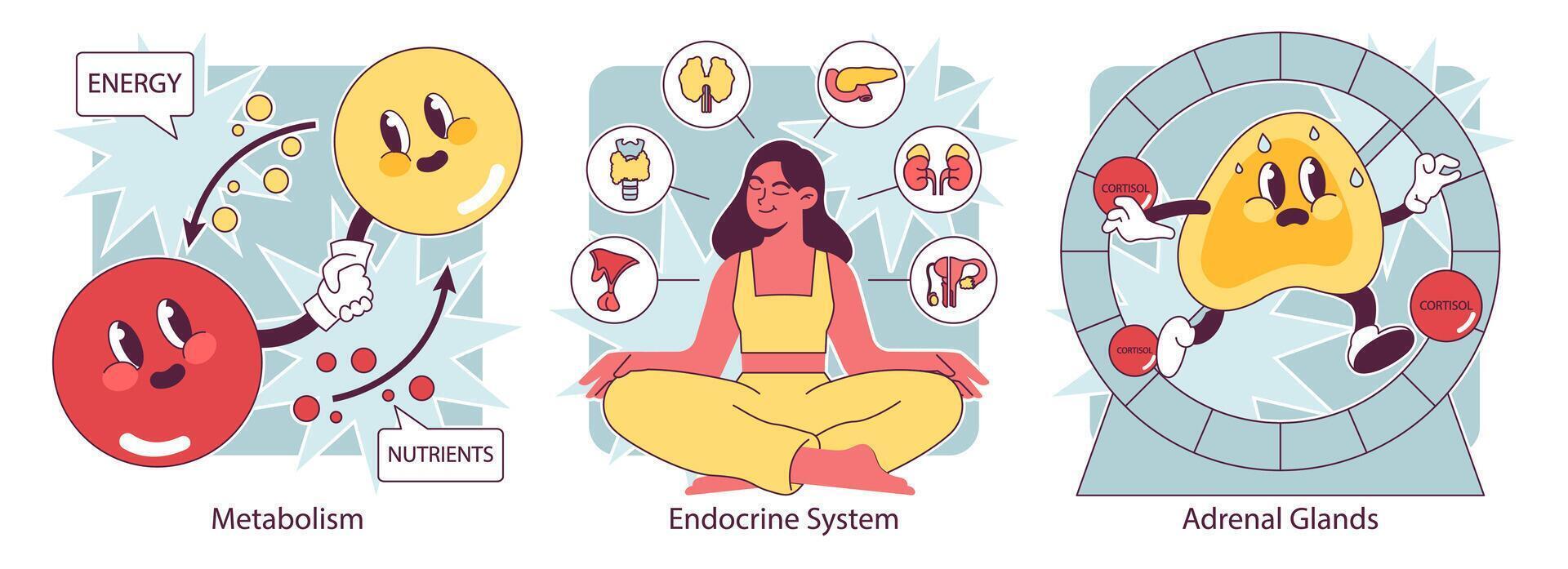 Endocrine system organs and disease set. Human glands function. Pituitary vector