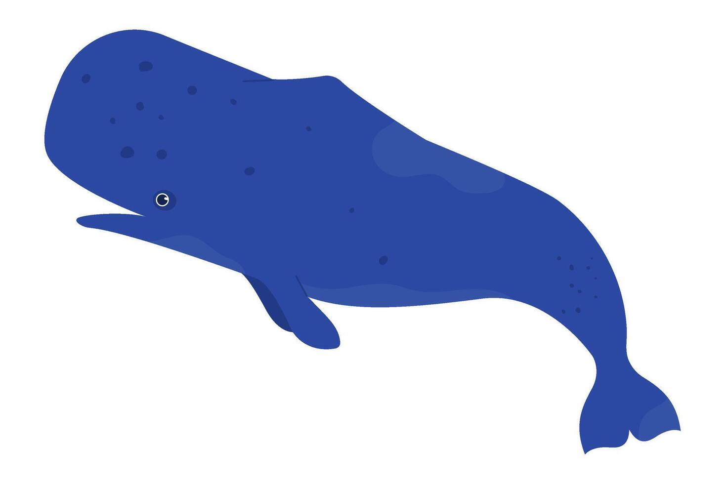 Huge sperm whale swim in sea isolated on white vector