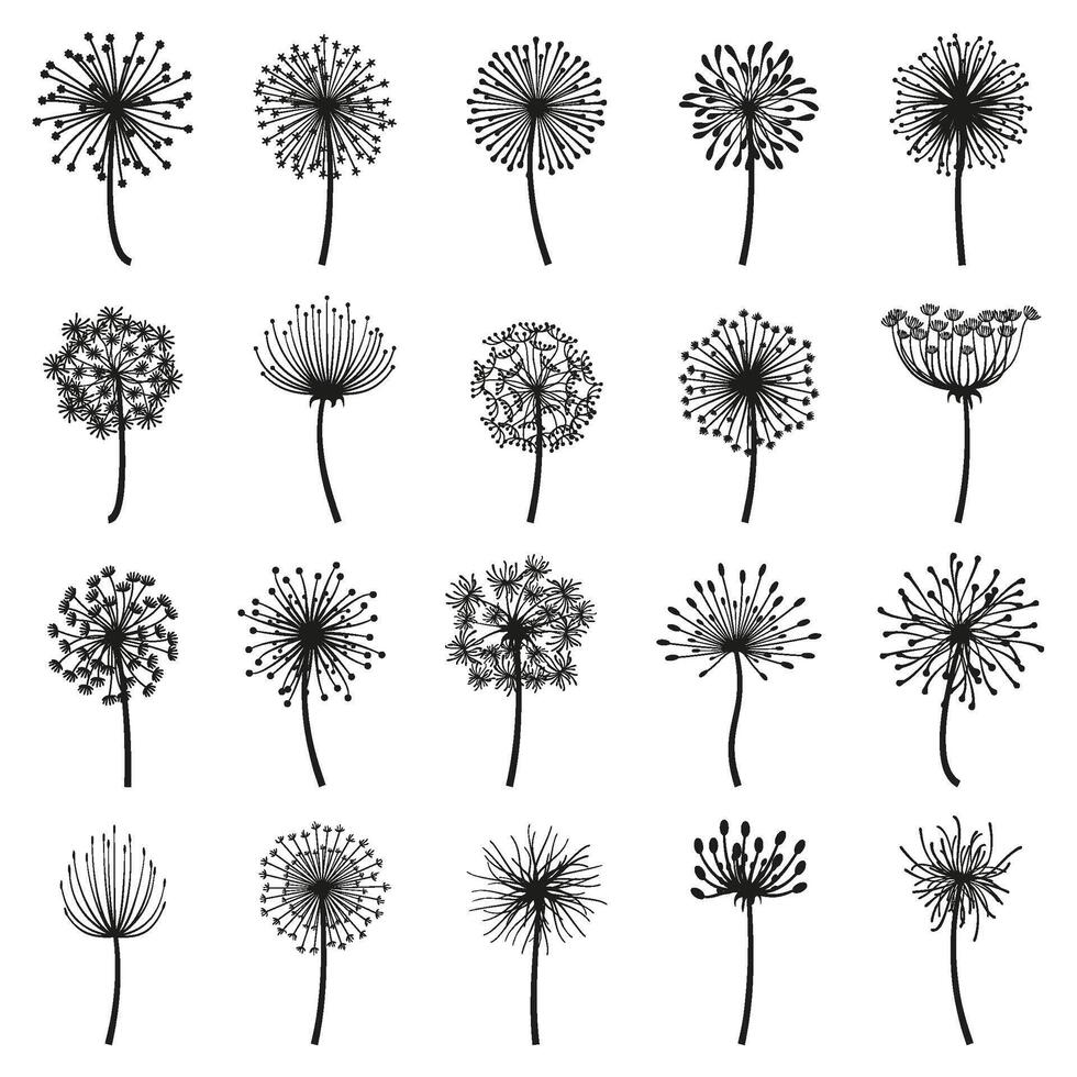 Fluffy dandelion, blowball flowers floral decorative silhouettes. Dandelion fluffy seeds flower plants flat illustration set. Blooming dandelions silhouettes vector
