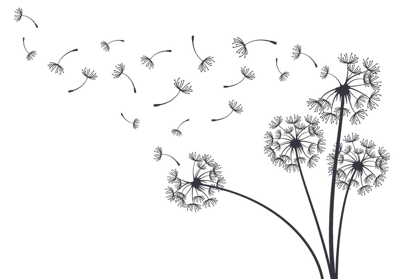 Dandelion blowball botanical plant fluffy flying seeds. Decorative blooming dandelions with fluffy flying seeds background illustration. Hand drawn fluffy dandelions vector
