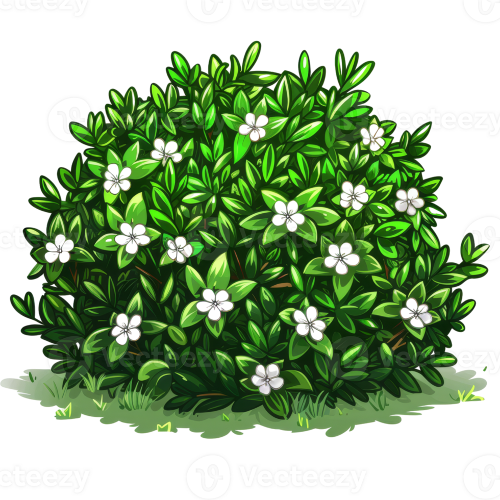 Bush with Green Leaves and Small White Flowers png