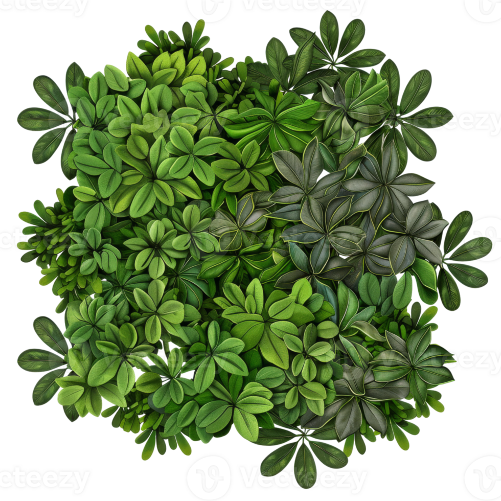 Mixed Green Leaves and Foliage in a Dense Arrangement png