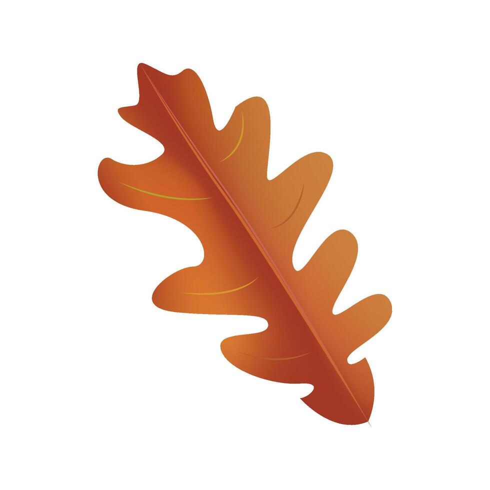 Autumn brown leaf oak isolated on white background Thanksgiving elements for design decoration vector