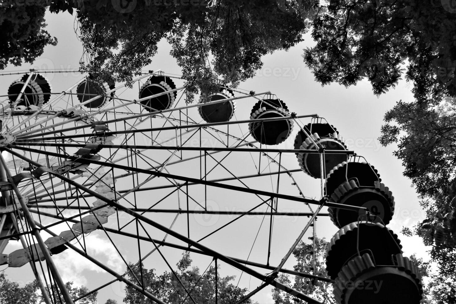 ferris rueda entre árbol sucursales, negro y blanco foto