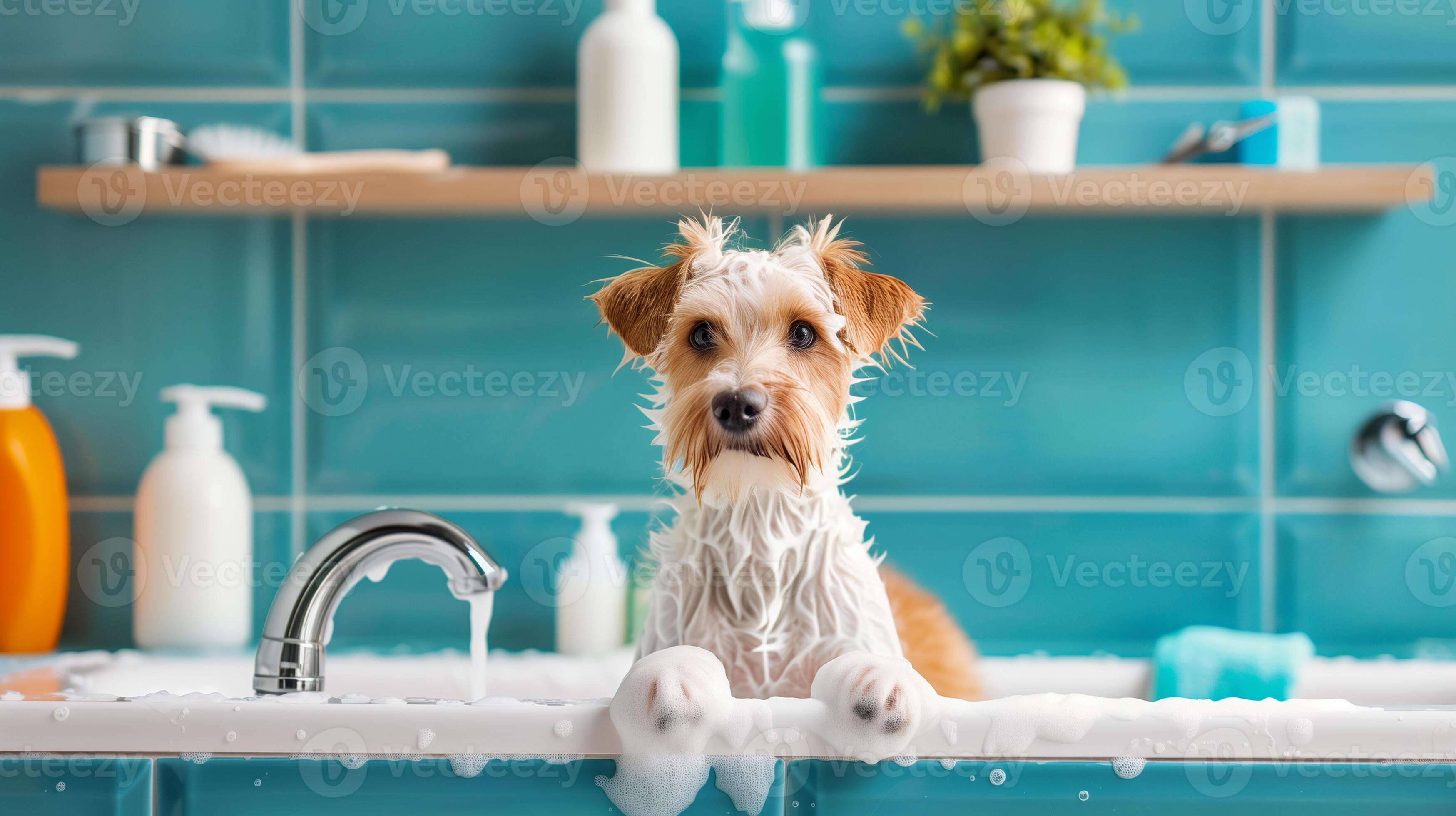 Never Give Your Dog Flexeril: Learn Why - 3hznu5p