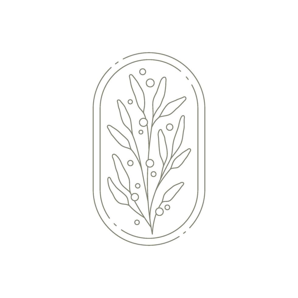 Minimalist botanical branch with leaves decorated by design elements at circle frame emblem vector