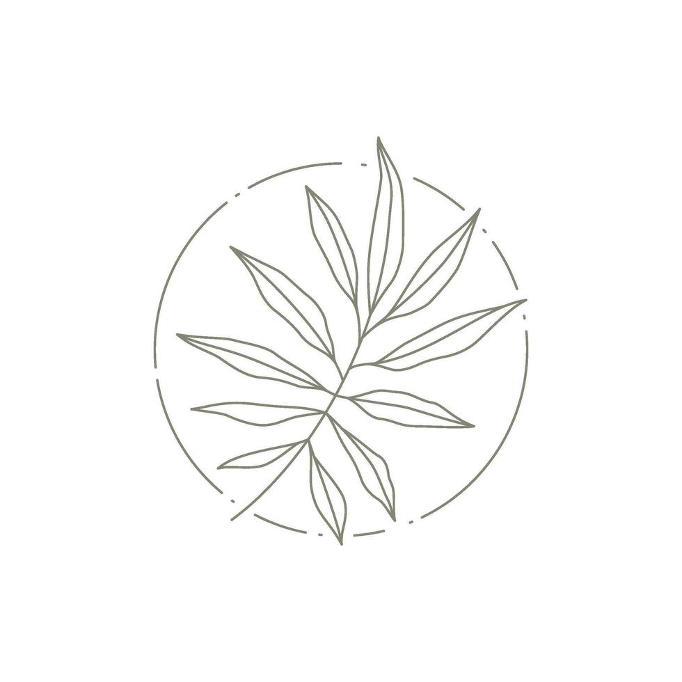 Monochrome tropical botanic branch with leaves at circle frame decorative logo of spa beauty salon vector