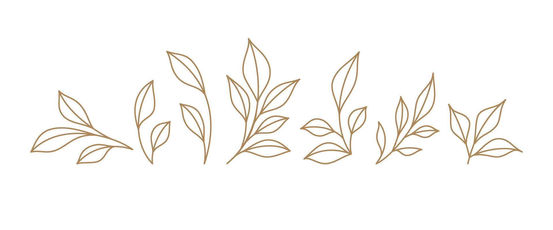 Set monochrome simple leaves botanical branches with stem and foliage illustration vector