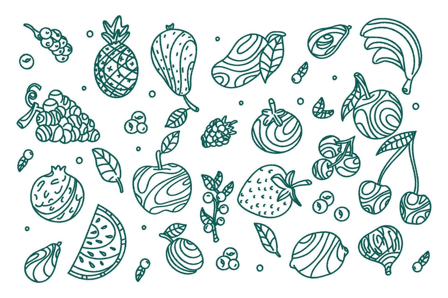 collection of sketches of exotic fruits on white background. Set of fruits and vegetables. Doodle style. vector