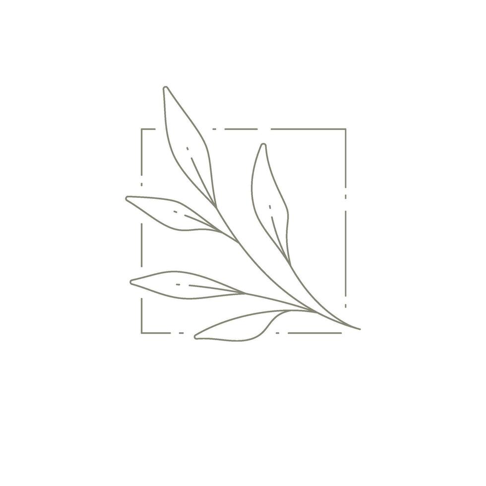 Botanical hand drawn monochrome art decor with branch leaves at squared frame simple logotype vector