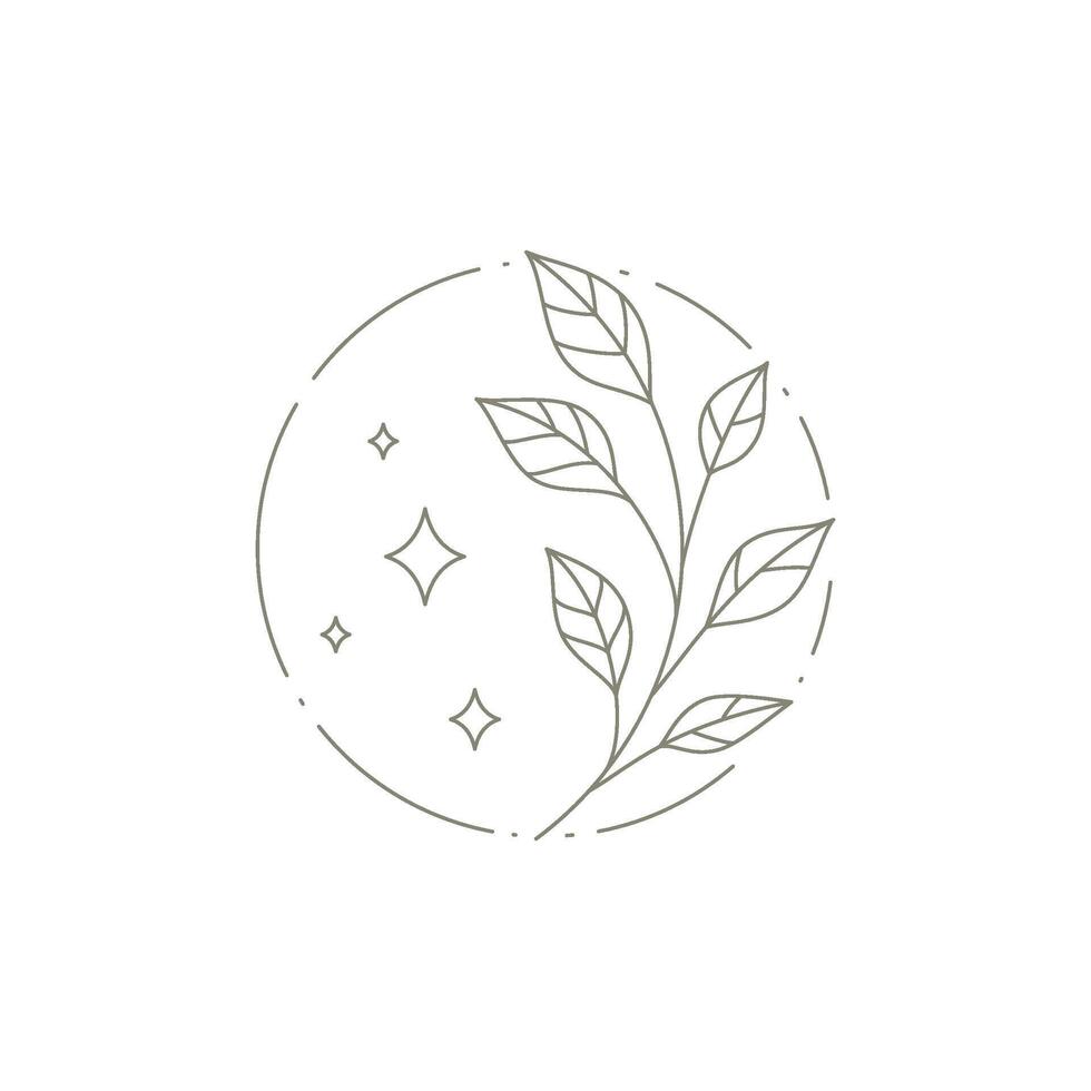 Esoteric linear simple logo with bright stars and natural plant tree branch at circle frame vector