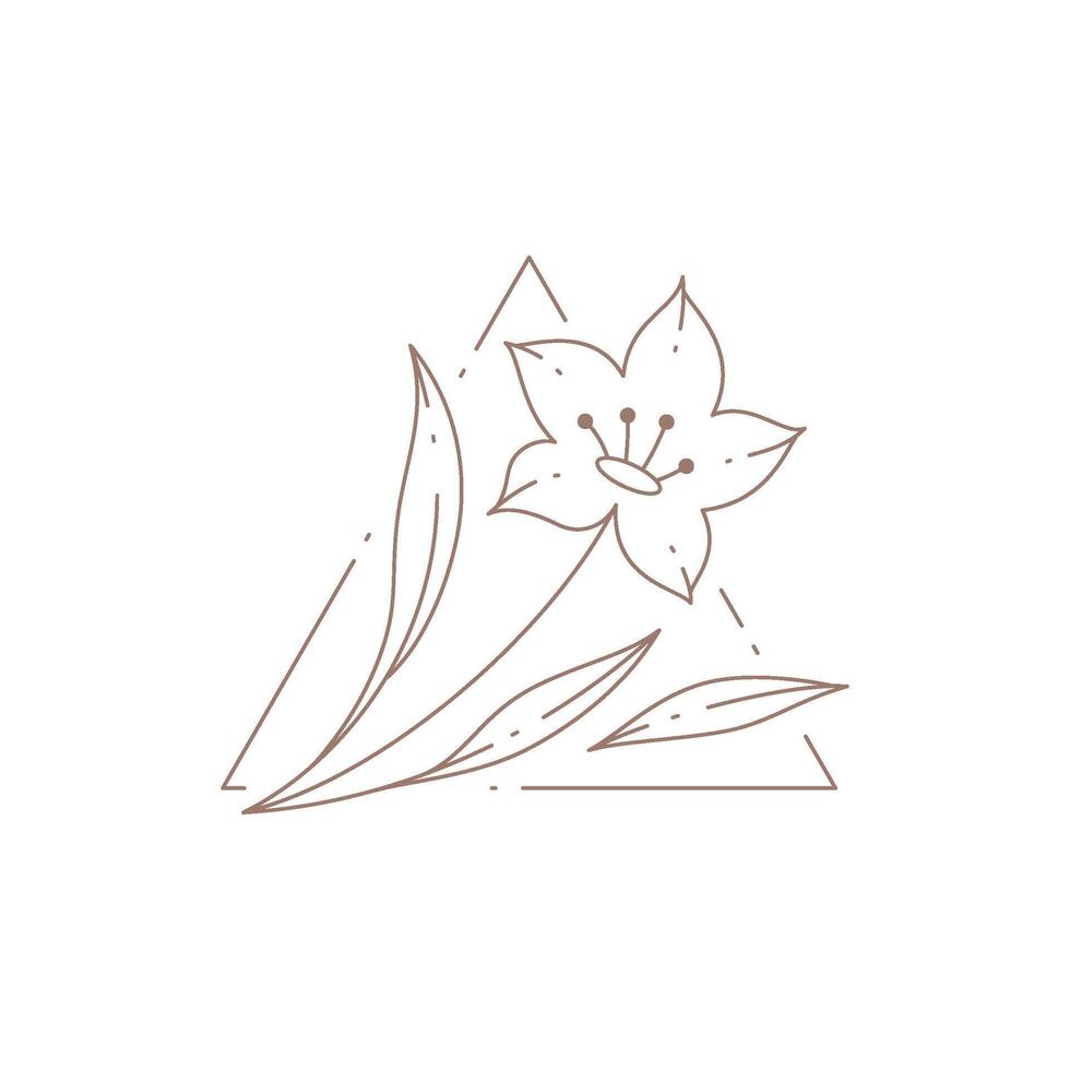 Simple romantic linear natural flower with petals, stem and leaves at triangle decorative frame logo vector
