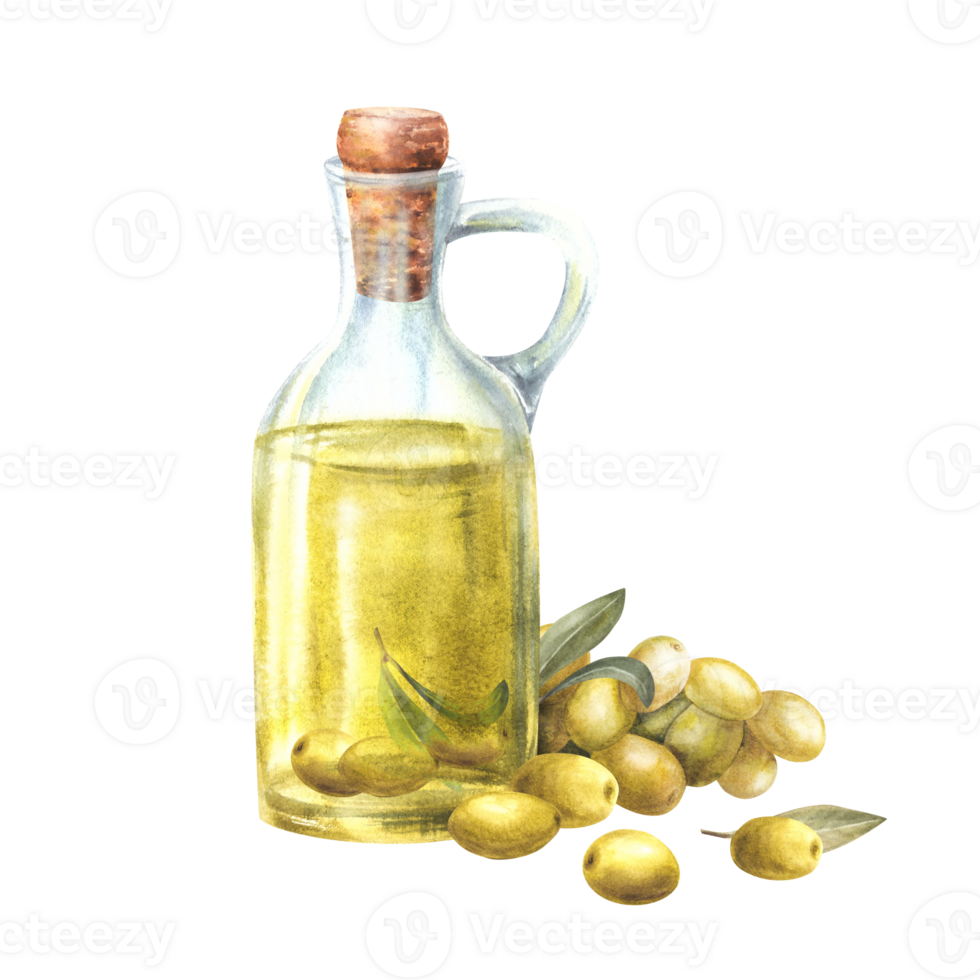 Glass bottle, jug corked with oil, olive fruit and green leaves. Watercolor hand drawn illustration for food vegan sauce, healthy vegetarian menu, nature bio cosmetic Isolated clipart background png
