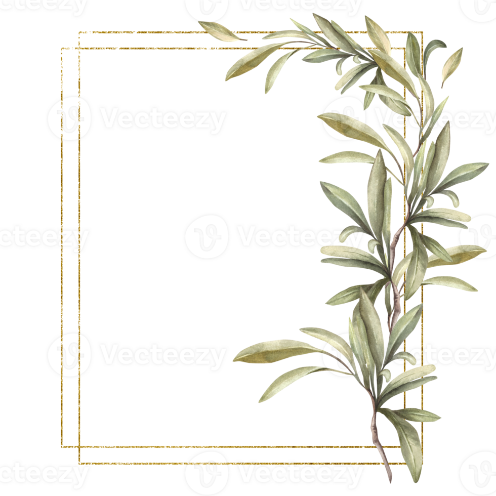 Olive tree branch gold framed. Watercolor twig with green leaves. Botanical template frame hand drawn illustration. Mediterranean trendy clipart for cosmetic label, wedding Isolated background. png