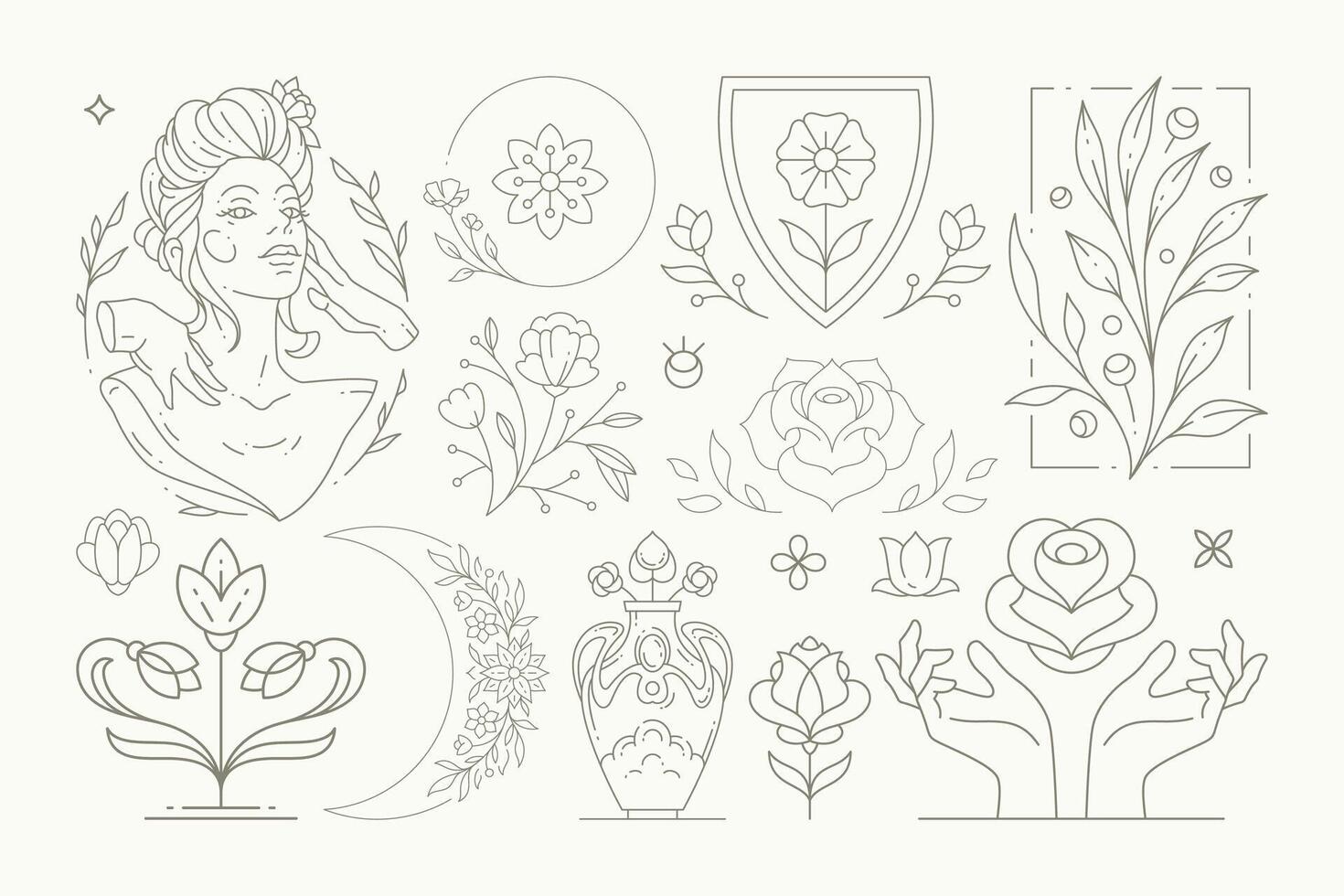 Line art elegant feminine blossom monochrome set with decorative botanical design elements vector