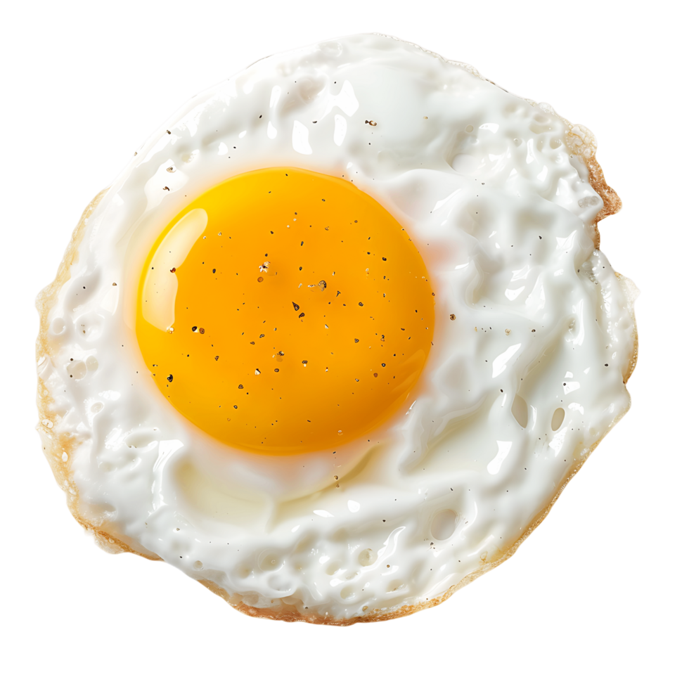 Cooked Fried Egg on Transparent Background png