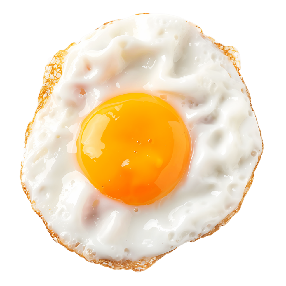 Fried Egg on Clear Background png
