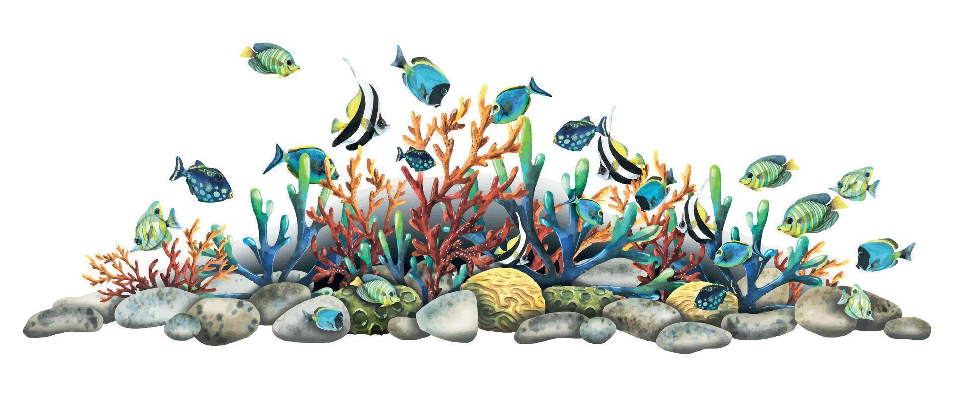 Coral reefs with various tropical fish, pebbles, algae and sea sponges. Bright, juicy, watercolor illustration. A board for the design of banners, souvenirs, postcards, posters, design and printing. vector