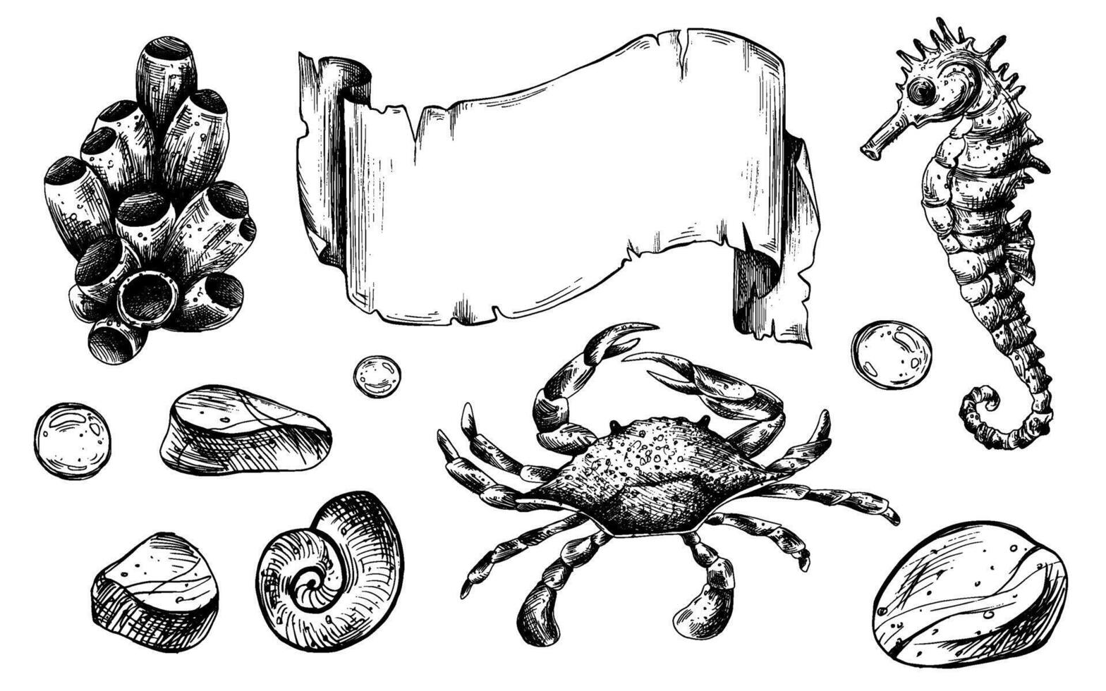 Seahorse, crab, shells, starfish, fish, bubbles, pebbles and other sea animals. Graphic illustration hand drawn in black ink. Set of isolated objects EPS . vector