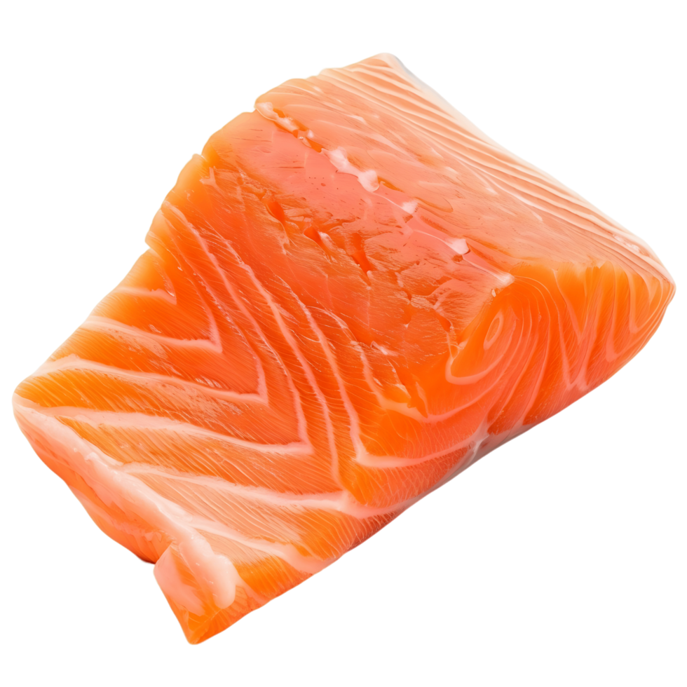 Fresh Salmon Filet Isolated png