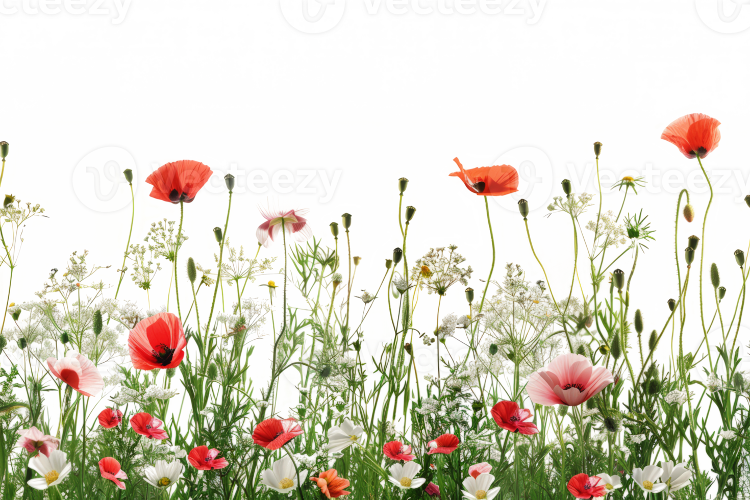 Beautiful natural background with blooming vibrant wildflowers png