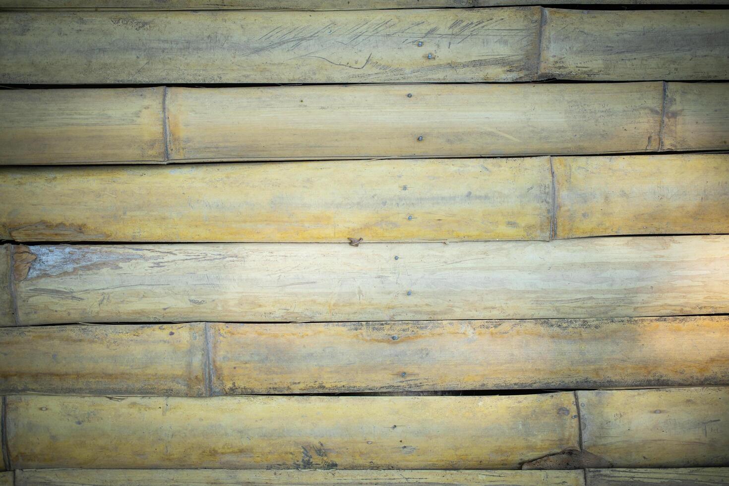 dried bamboo texture background photo