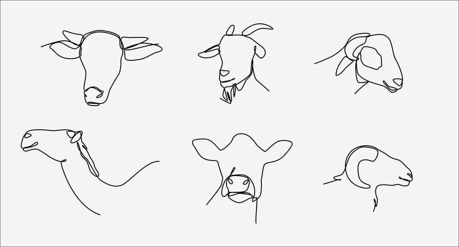 One continuous line drawing of heads of cow, goat, camel and sheep. Concept of farm animal, muslim holiday eid adha, livestock. Editable stroke. Graphic illustration. vector