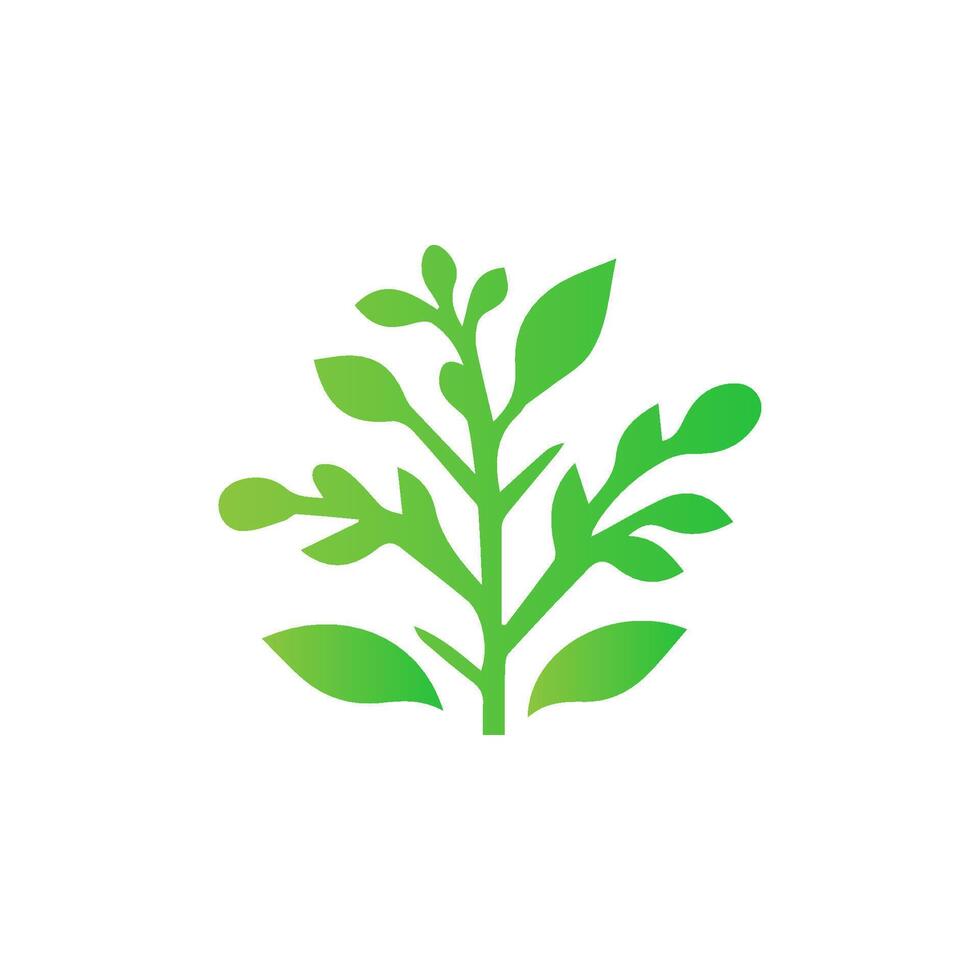 Leaves icon on isolated background. Collection green leaf. Elements design for natural, eco, vegan, bio labels vector